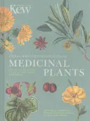 The Gardener's Companion to Medicinal Plants: A-Z de plantas curativas y remedios caseros - The Gardener's Companion to Medicinal Plants: An A-Z of Healing Plants and Home Remedies