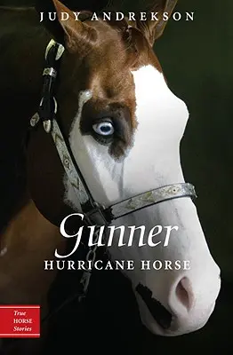 Gunner El caballo huracán - Gunner: Hurricane Horse