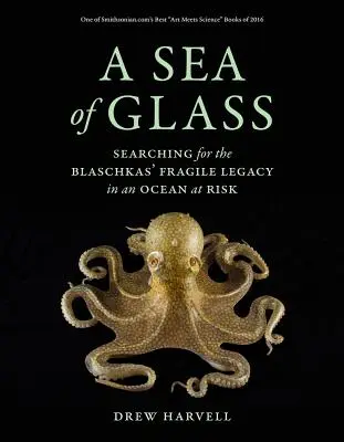 Un mar de cristal, 13: En busca del frágil legado de los Blaschka en un océano en peligro - A Sea of Glass, 13: Searching for the Blaschkas' Fragile Legacy in an Ocean at Risk