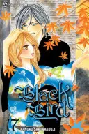 Black Bird, Volumen 17 - Black Bird, Volume 17