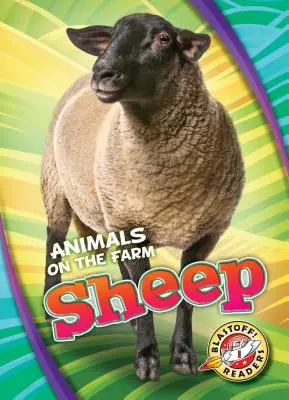 Ovejas - Sheep