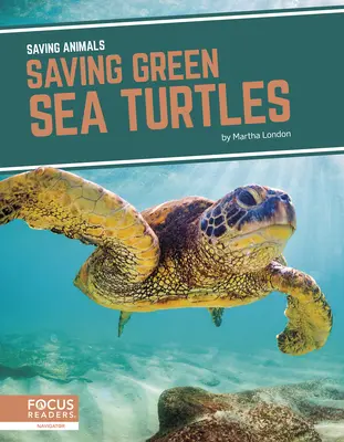 Salvar a las tortugas marinas verdes - Saving Green Sea Turtles