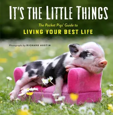 Las pequeñas cosas: La guía de los cerditos de bolsillo para vivir tu mejor vida (Libro de inspiración, Libro de regalo, Lecciones de vida, Mini cerditos) - It's the Little Things: The Pocket Pigs' Guide to Living Your Best Life (Inspiration Book, Gift Book, Life Lessons, Mini Pigs)