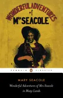 Maravillosas aventuras de la Sra. Seacole en muchos países - Wonderful Adventures of Mrs Seacole in Many Lands
