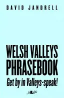 Libro de frases de los valles galeses - ¡Póngase al día en el idioma de los valles! - Welsh Valleys Phrasebook - Get by in Valleys-Speak!