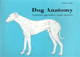 Anatomía del perro: Un enfoque pictórico de la estructura canina - Dog Anatomy: A Pictoral Approach to Canine Structure