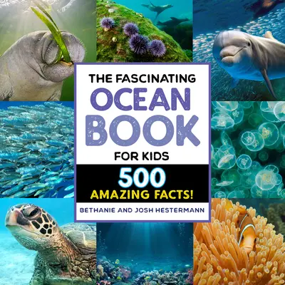 El fascinante libro del océano para niños: ¡500 datos increíbles! - The Fascinating Ocean Book for Kids: 500 Incredible Facts!