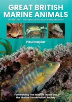 Grandes animales marinos británicos - Great British Marine Animals