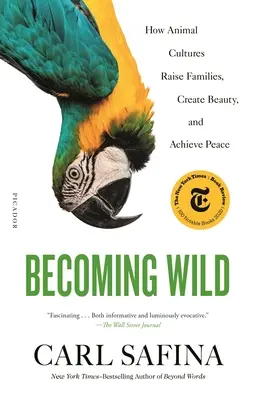 Volverse salvaje: Cómo las culturas animales crían familias, crean belleza y alcanzan la paz - Becoming Wild: How Animal Cultures Raise Families, Create Beauty, and Achieve Peace