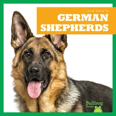 Pastores alemanes - German Shepherds