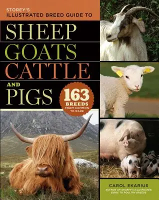 Storey's Illustrated Breed Guide to Sheep, Goats, Cattle and Pigs: 163 Breeds from Common to Rare (Guía ilustrada de razas de ovejas, cabras, vacas y cerdos de Storey's) - Storey's Illustrated Breed Guide to Sheep, Goats, Cattle and Pigs: 163 Breeds from Common to Rare