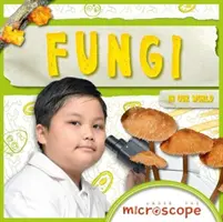 Hongos - Fungi