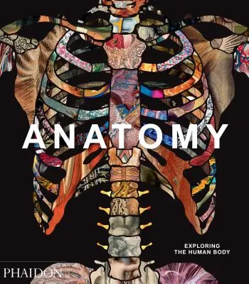 Anatomía: Explorando el cuerpo humano - Anatomy: Exploring the Human Body