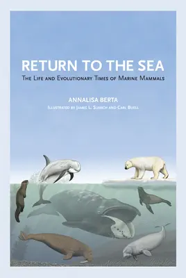 Regreso al mar: Vida y evolución de los mamíferos marinos - Return to the Sea: The Life and Evolutionary Times of Marine Mammals