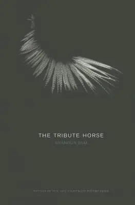 El caballo de los tributos - The Tribute Horse