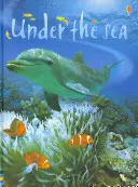 Bajo el mar - Under the Sea