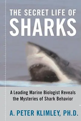 La vida secreta de los tiburones: Un destacado biólogo marino desvela los misterios del comportamiento de los tiburones - The Secret Life of Sharks: A Leading Marine Biologist Reveals the Mysteries of Shark Behavior