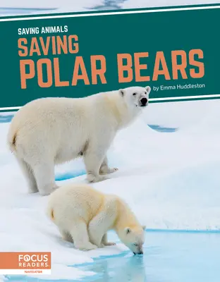 Salvar a los osos polares - Saving Polar Bears