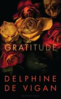 Gratitud - Gratitude