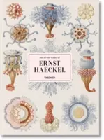 El arte y la ciencia de Ernst Haeckel - The Art and Science of Ernst Haeckel