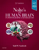 El cerebro humano en fotografías y diagramas, de Nolte - Nolte's the Human Brain in Photographs and Diagrams