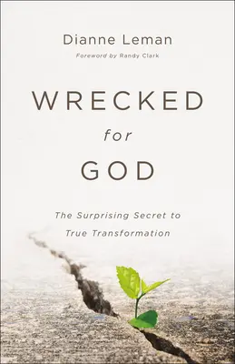 Naufragado por Dios: El sorprendente secreto de la verdadera transformación - Wrecked for God: The Surprising Secret to True Transformation