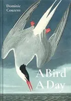 Un pájaro al día - A Bird a Day