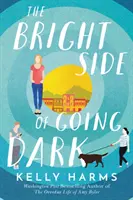 El lado bueno de la oscuridad - The Bright Side of Going Dark