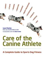 Cuidados del atleta canino - Care Of The Canine Athlete