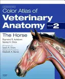 Atlas en color de anatomía veterinaria, volumen 2, el caballo - Color Atlas of Veterinary Anatomy, Volume 2, the Horse