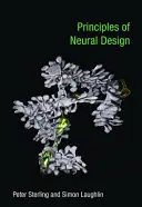 Principios de diseño neuronal - Principles of Neural Design