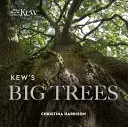 Los grandes árboles de Kew - Kew's Big Trees