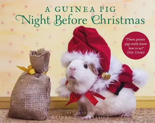 Una noche de cobaya antes de Navidad - A Guinea Pig Night Before Christmas