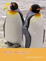 Animales polares - Set 4 - Polar Animals - Set 4