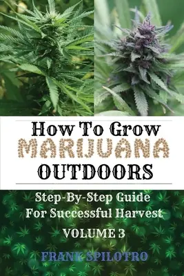 Cómo Cultivar Marihuana en Exterior: Guía paso a paso para una cosecha exitosa - How to Grow Marijuana Outdoors: Step-By-Step Guide for Successful Harvest