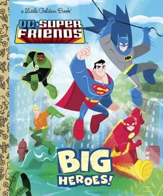 DC Super Friends: ¡Grandes Héroes! - DC Super Friends: Big Heroes!