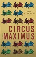 Circo Máximo - Circus Maximus