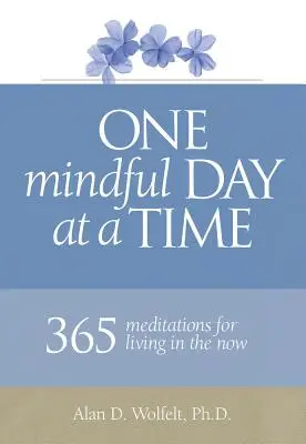 Un día consciente a la vez: 365 meditaciones para vivir el ahora - One Mindful Day at a Time: 365 Meditations on Living in the Now