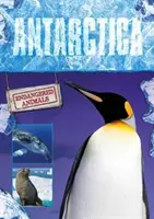 Antártida - Antarctica