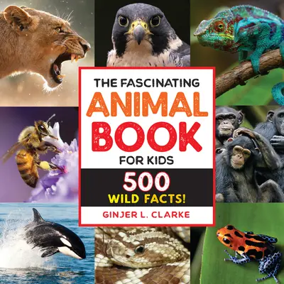 El fascinante libro de los animales para niños: ¡500 hechos salvajes! - The Fascinating Animal Book for Kids: 500 Wild Facts!
