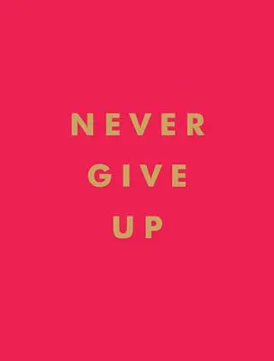 Nunca te rindas - Never Give Up