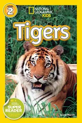 Tigres - Tigers