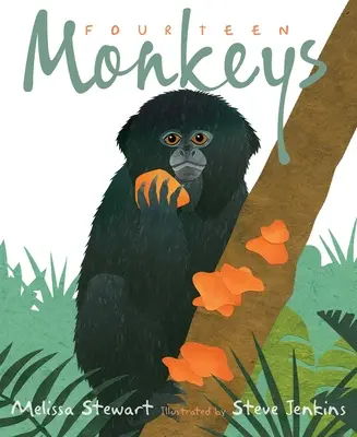 Catorce monos: Una rima de la selva tropical - Fourteen Monkeys: A Rain Forest Rhyme