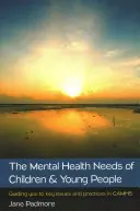 Las necesidades de salud mental de niños y jóvenes: Guía de temas y prácticas clave en Camhs - The Mental Health Needs of Children & Young People: Guiding You to Key Issues and Practices in Camhs