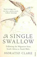 Una sola golondrina - Siguiendo un viaje épico desde Sudáfrica hasta el sur de Gales - Single Swallow - Following An Epic Journey From South Africa To South Wales