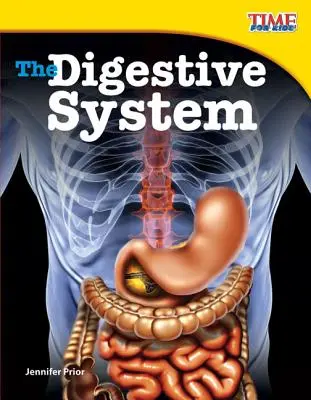 El aparato digestivo - The Digestive System