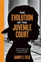 La evolución del Tribunal de Menores: Raza, política y criminalización de la justicia de menores - The Evolution of the Juvenile Court: Race, Politics, and the Criminalizing of Juvenile Justice