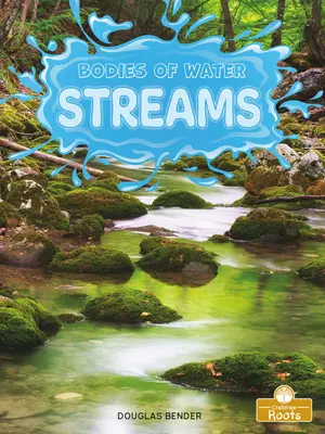 Arroyos - Streams