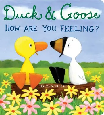 Pato y Ganso, ¿Cómo te sientes? - Duck & Goose, How Are You Feeling?