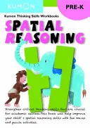 Razonamiento Espacial - Spatial Reasoning
